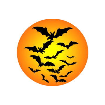Igors Horror Shop